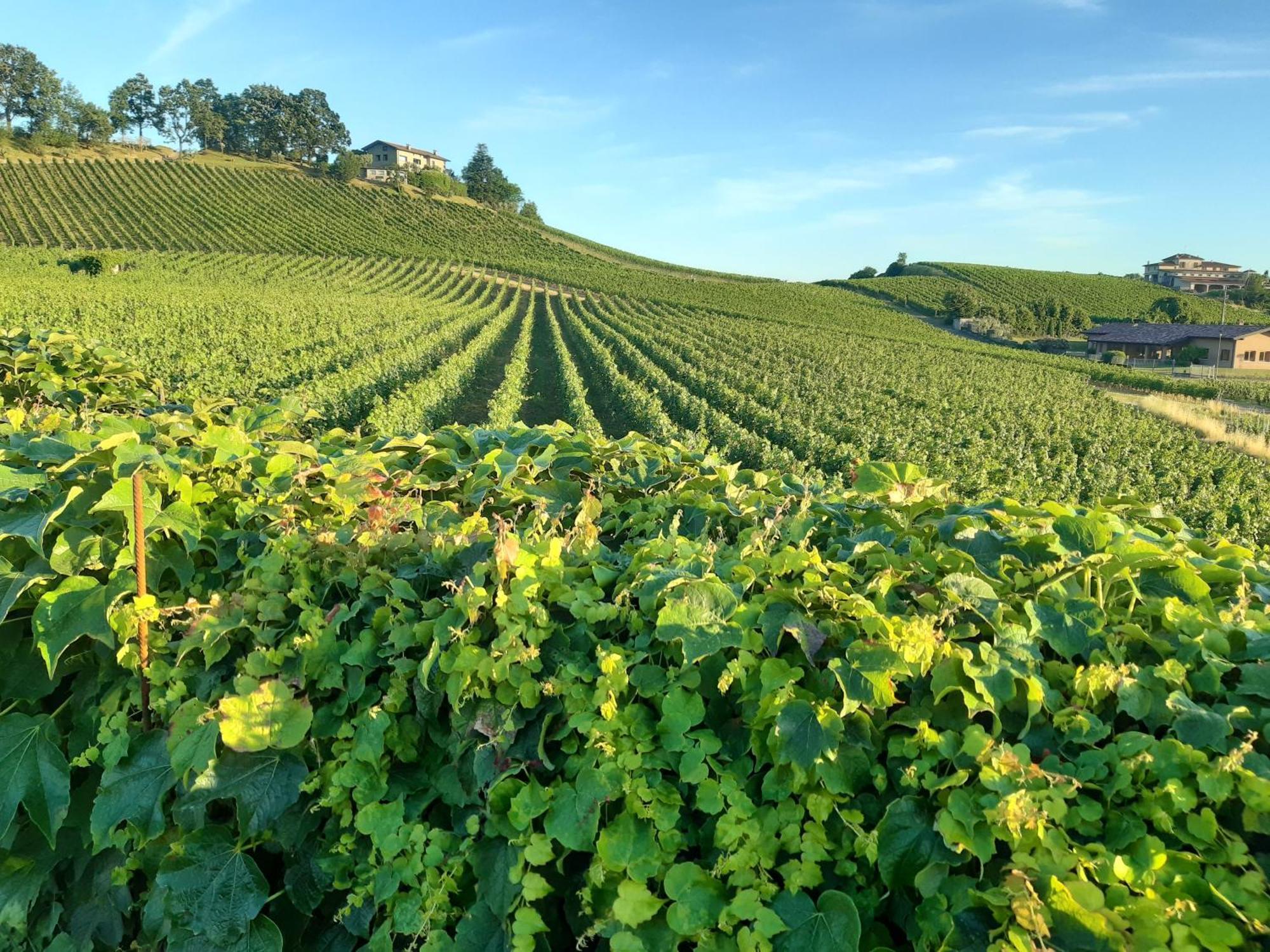 Appartamento Franciacorta Cazzago San Martino Экстерьер фото